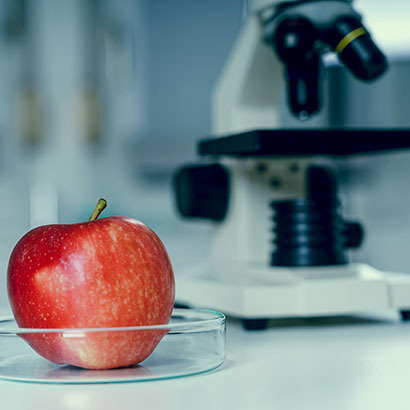 Apfel und Mikroskop