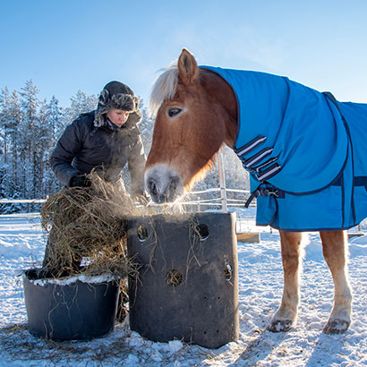 Frau füttert Pferd auf der Winterkoppel mit Heu