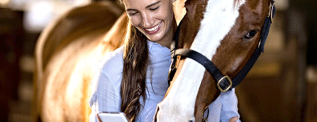 Junge Frau hält ihr Pferd am Halfter und liest eine Handynachricht