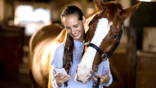 Junge Frau hält ihr Pferd am Halfter und liest eine Handynachricht