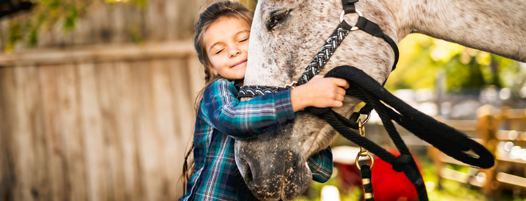 Kind umarmt Pferd